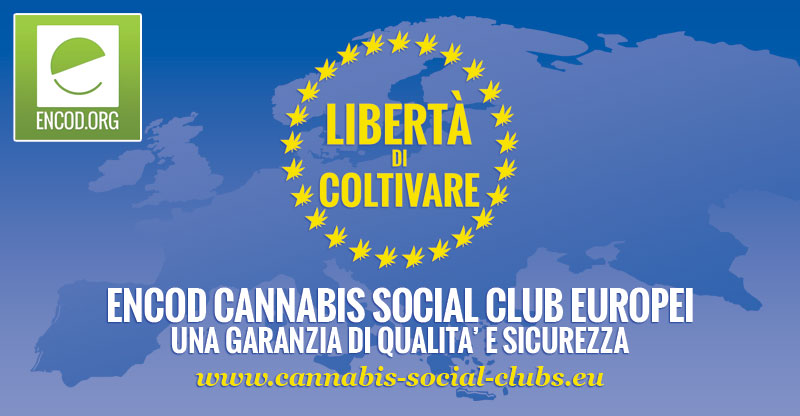 ENCOD Cannabis Social Club Europei